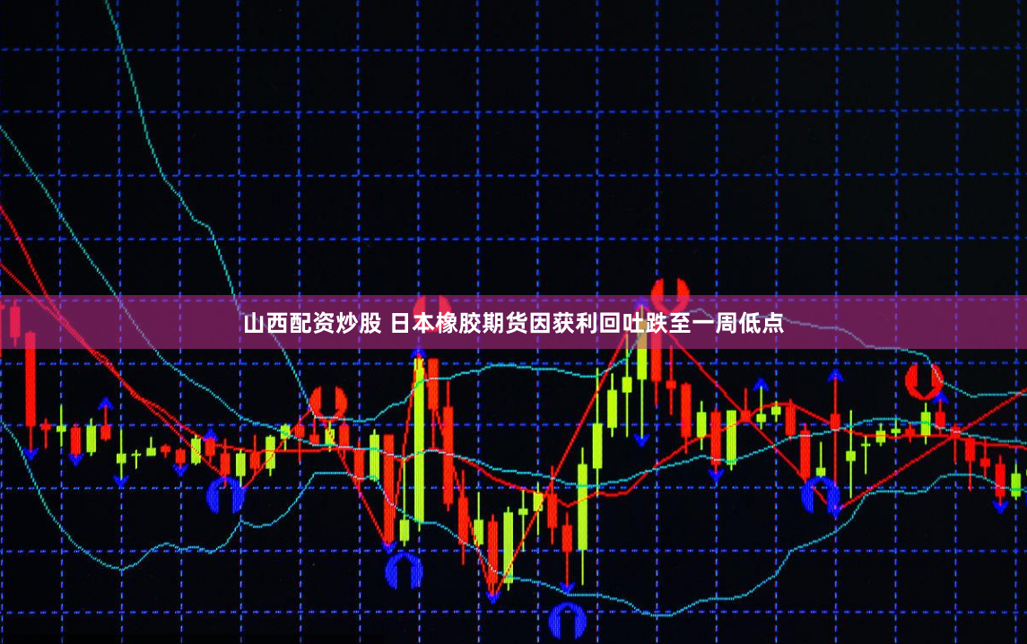 山西配资炒股 日本橡胶期货因获利回吐跌至一周低点