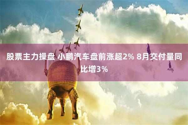 股票主力操盘 小鹏汽车盘前涨超2% 8月交付量同比增3%