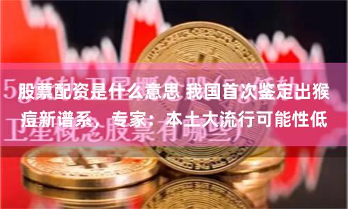 股票配资是什么意思 我国首次鉴定出猴痘新谱系，专家：本土大流行可能性低