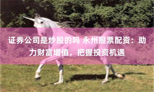 证券公司是炒股的吗 永州股票配资：助力财富增值，把握投资机遇